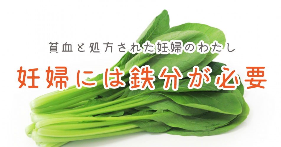 f:id:saladiary:20180524180817j:plain f:id:saladiary:20180524180817j:plain