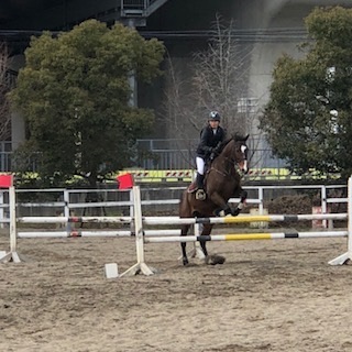 f:id:salads358:20190217160629j:plain