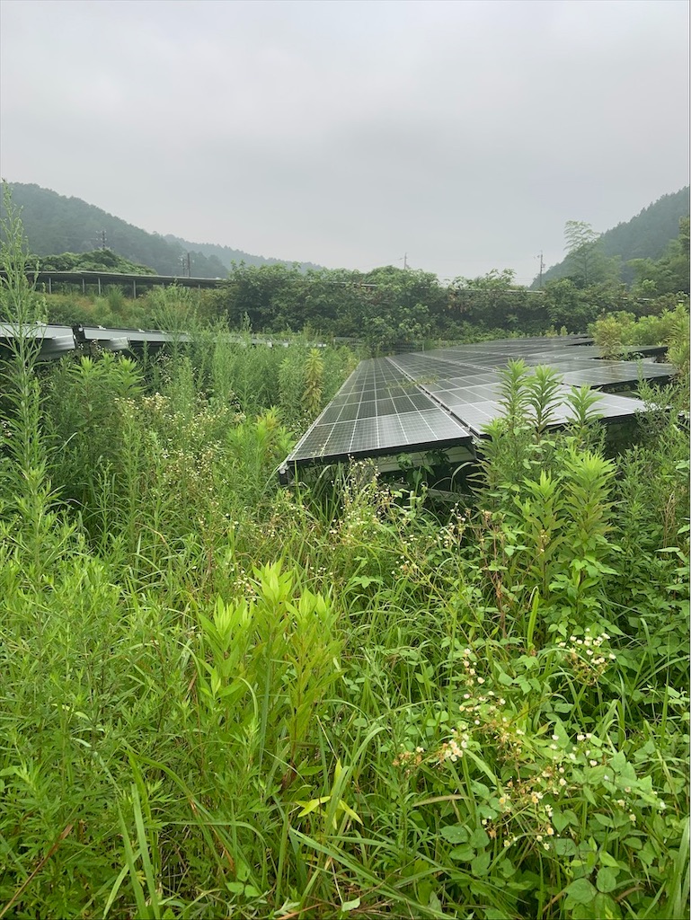 f:id:salahuku:20200809111603j:image