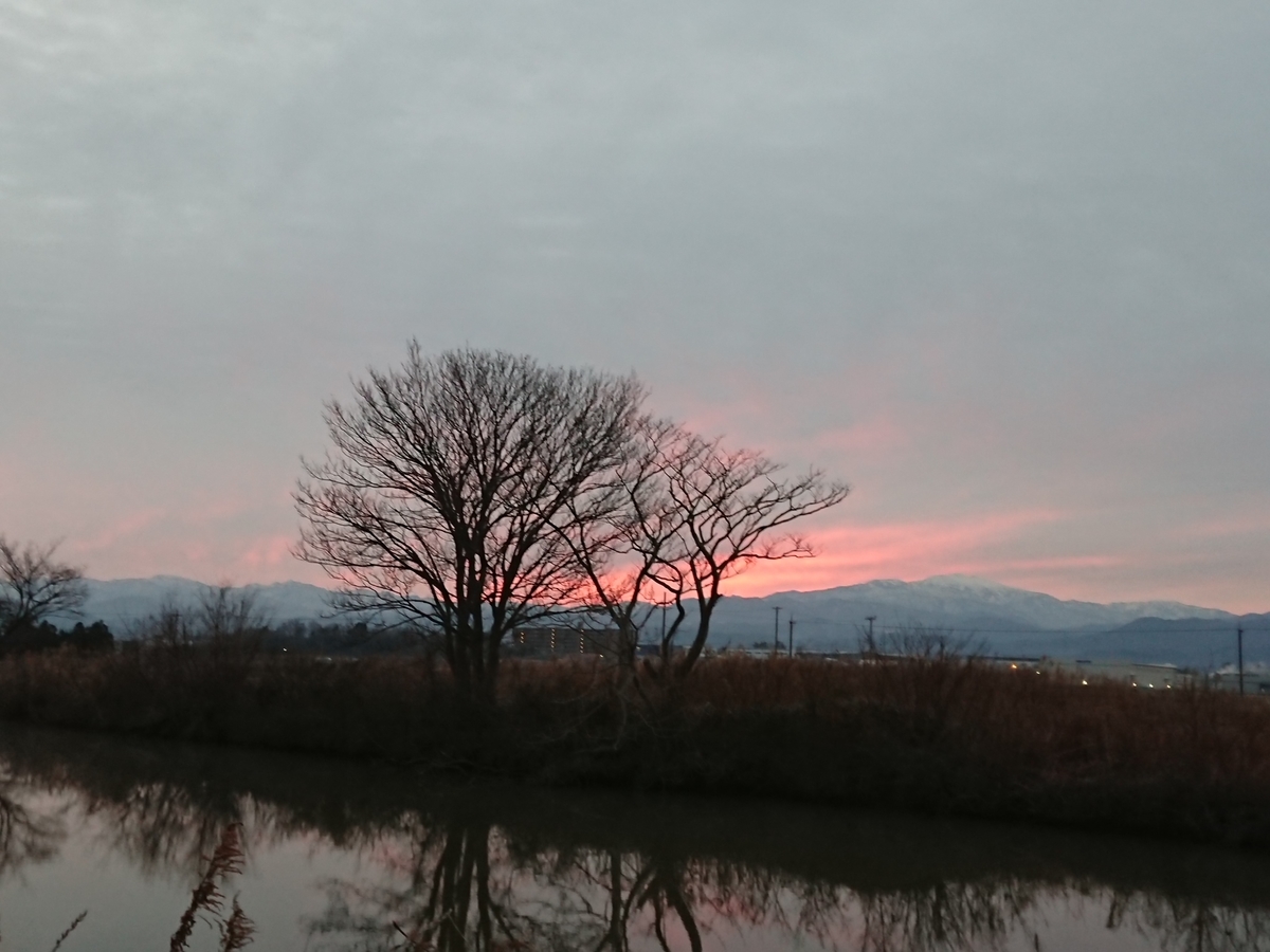 f:id:salamander_zin:20200213140242j:plain