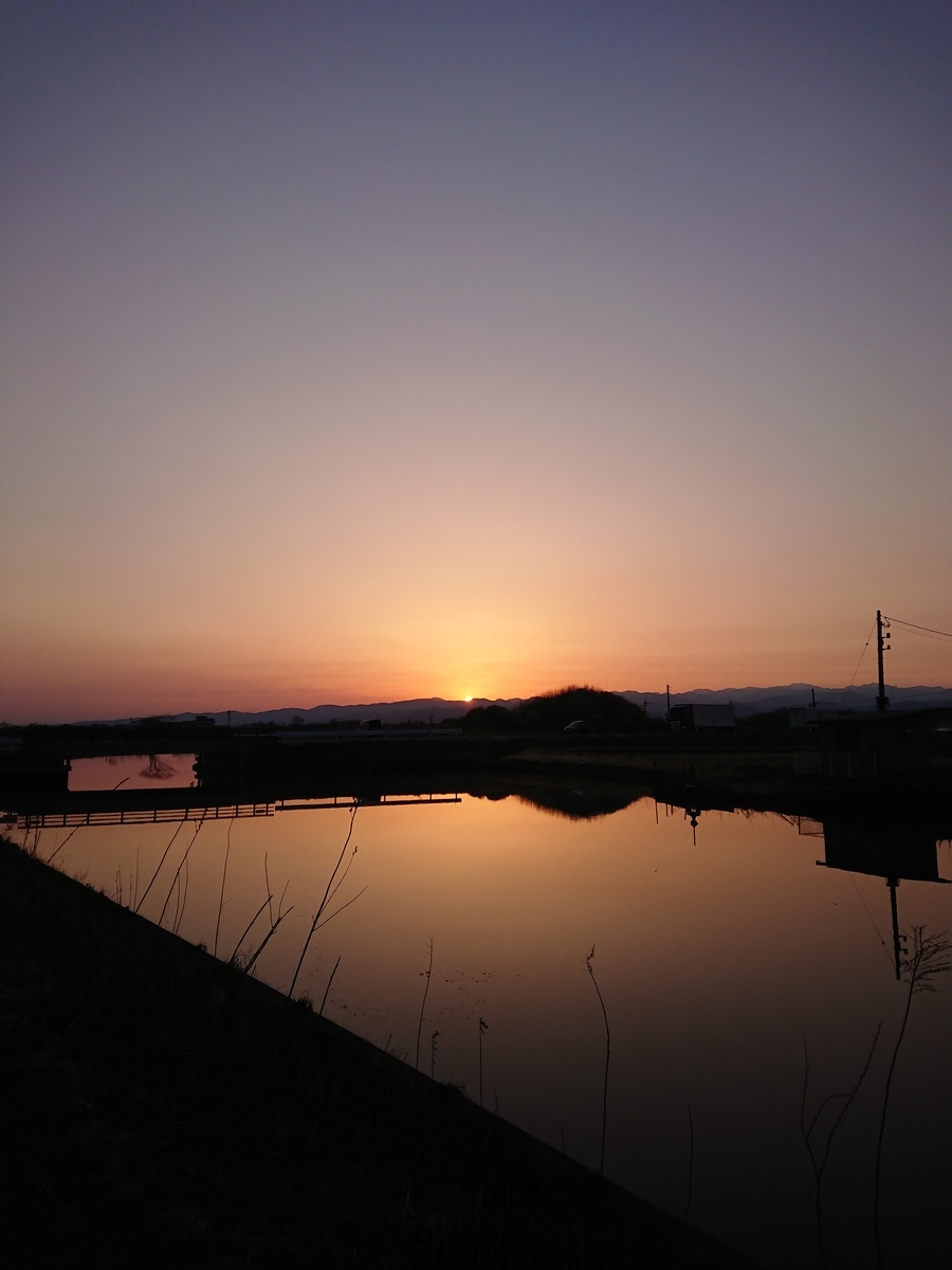 f:id:salamander_zin:20200415131650j:plain