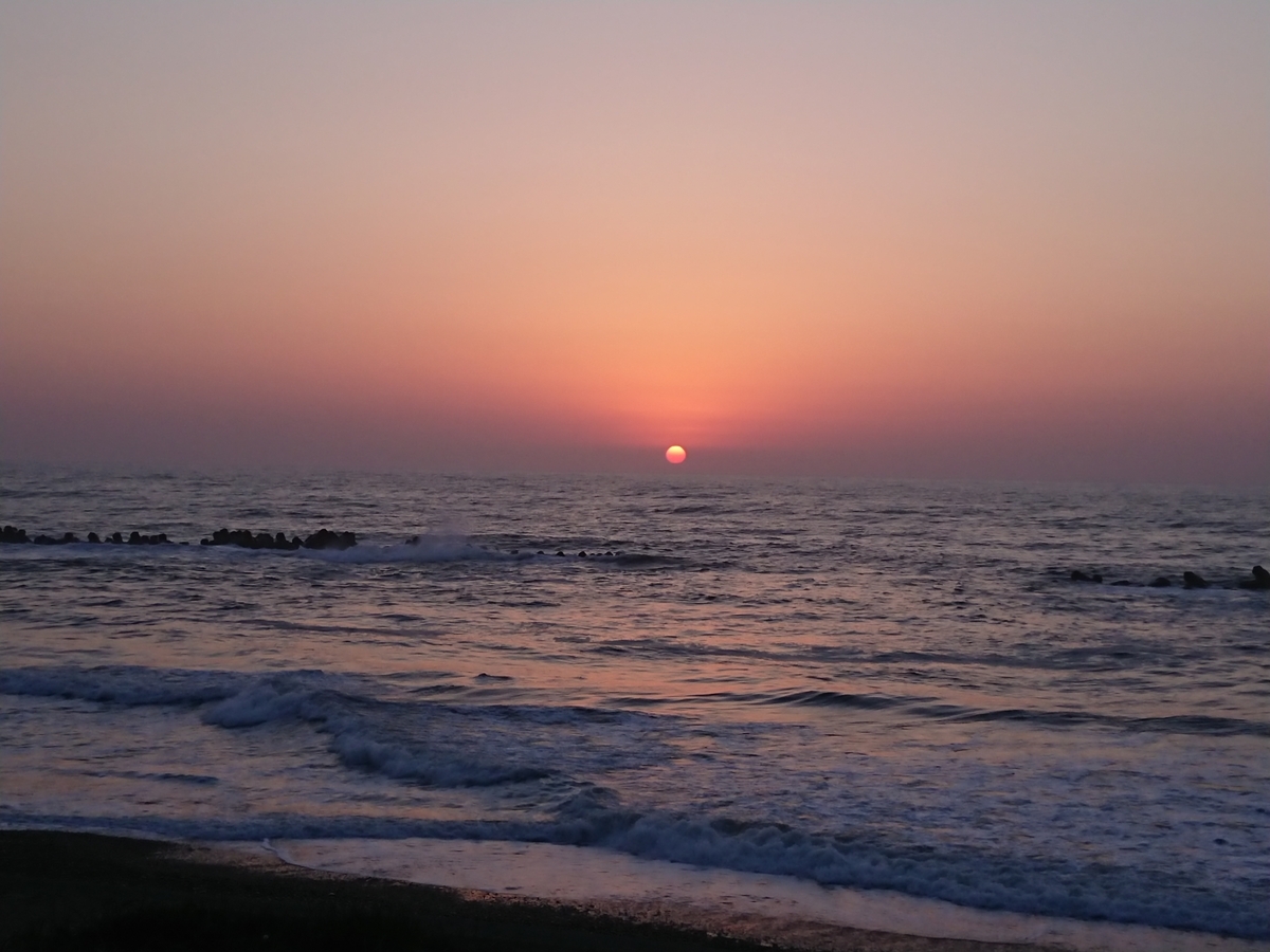 f:id:salamander_zin:20210419184538j:plain