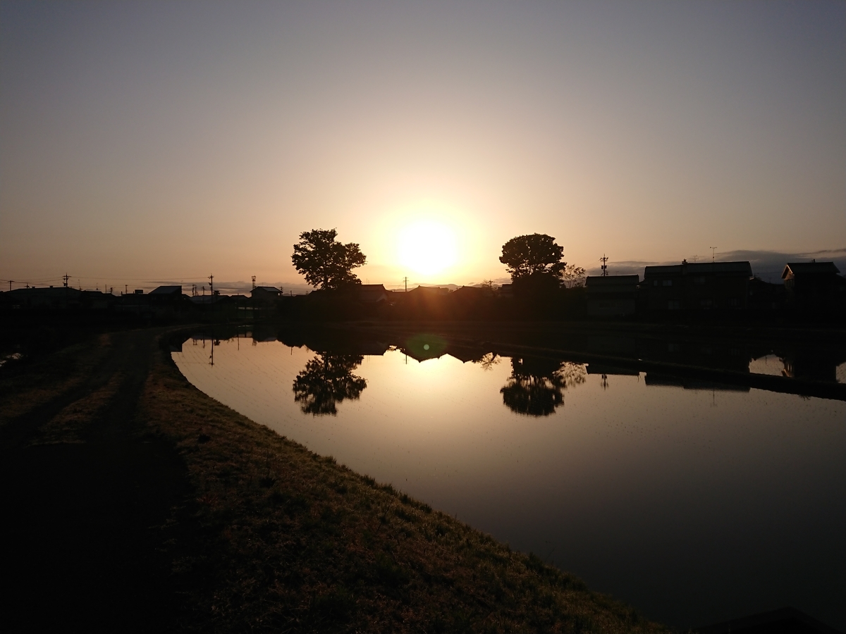 f:id:salamander_zin:20210517130341j:plain