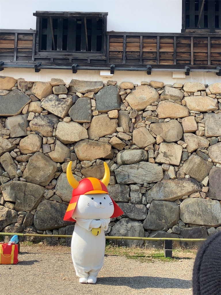 f:id:salamencehirakata:20240314163720j:image