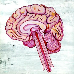 f:id:salamipizzadog:20200529114245p:plain