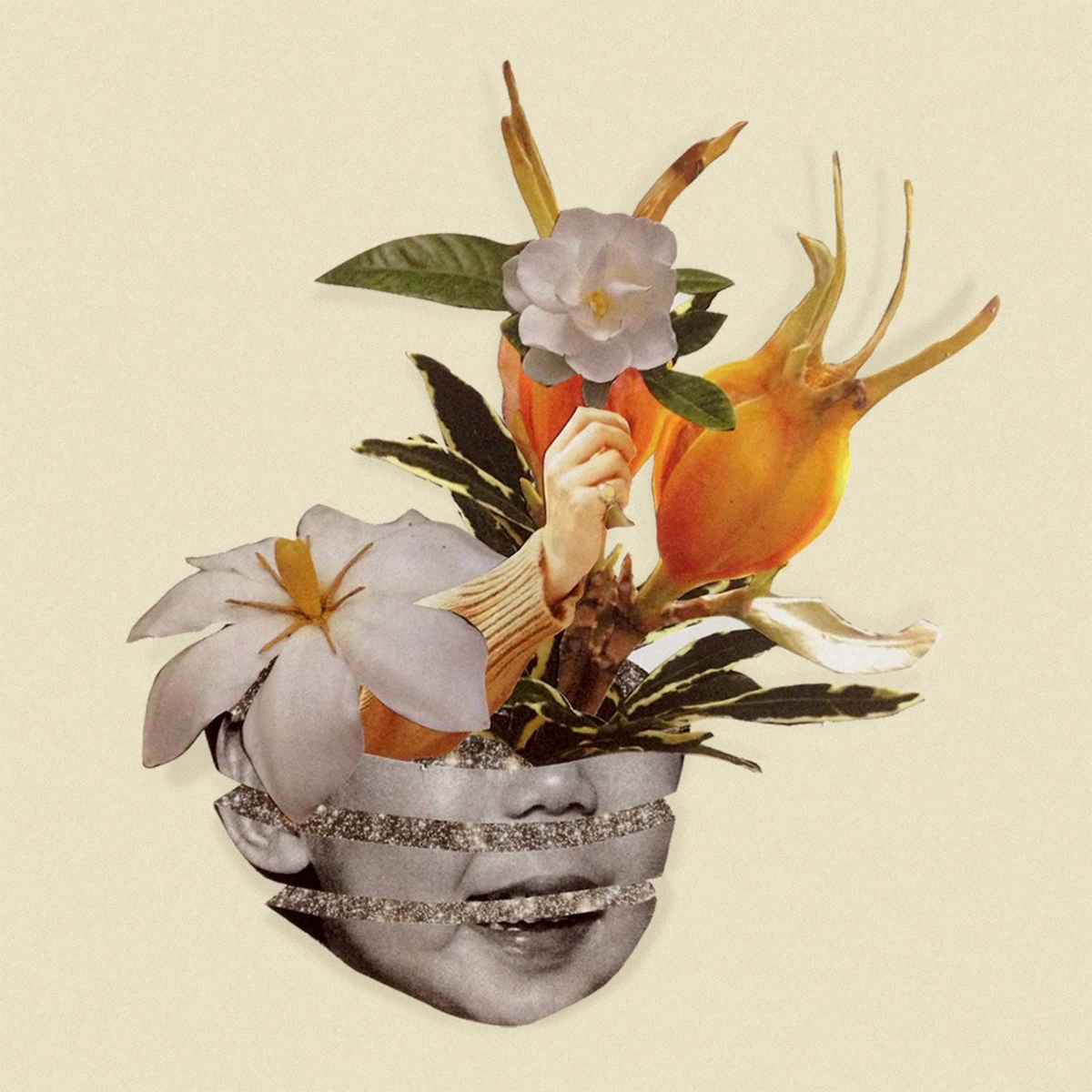 f:id:salamipizzadog:20200529144425p:plain