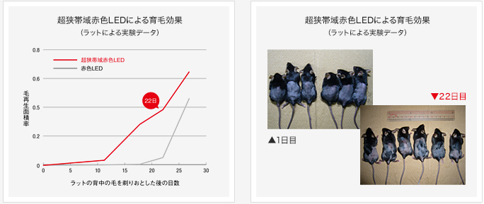 f:id:salaryman30s_koba:20200816142007p:plain