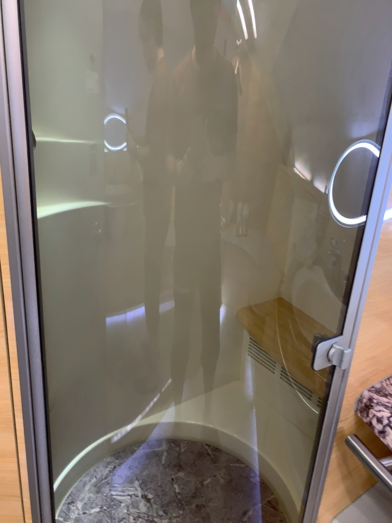 f:id:salarymantrip:20190114190147j:plain