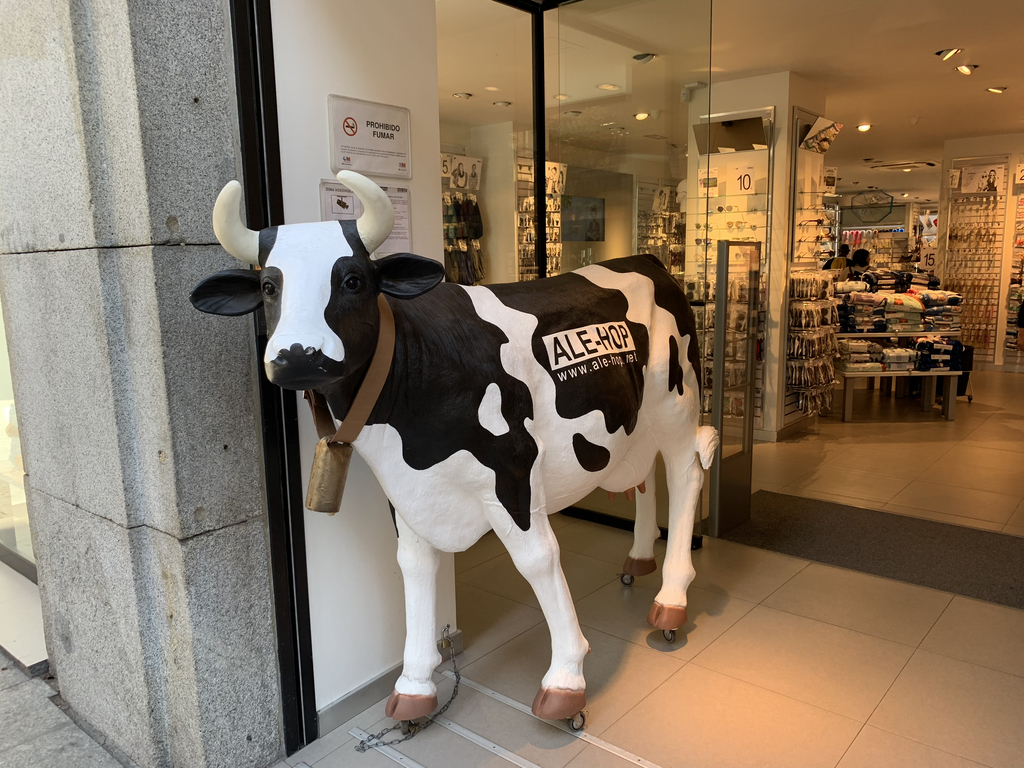 f:id:salarymantrip:20190211162416j:plain