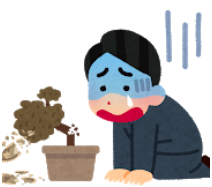 f:id:salarytan:20190302080611p:plain f:id:salarytan:20190302080611p:plain