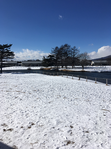 f:id:salesconsultant:20180202120024p:plain