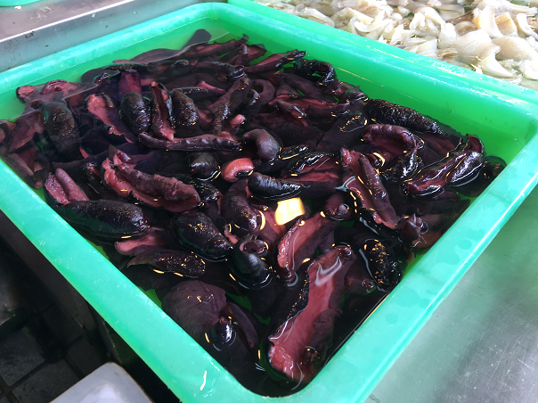 f:id:salesconsultant:20190126155722p:plain f:id:salesconsultant:20190126155722p:plain