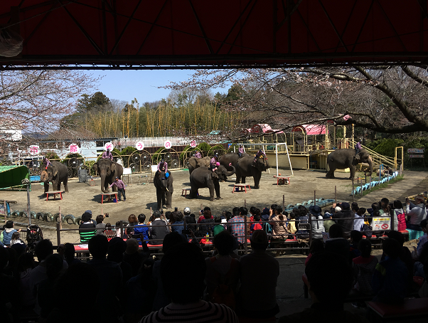 f:id:salesconsultant:20190611120718p:plain