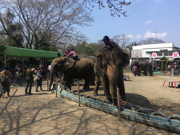 f:id:salesconsultant:20190611120742p:plain