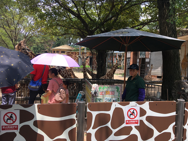 f:id:salesconsultant:20190626233234p:plain