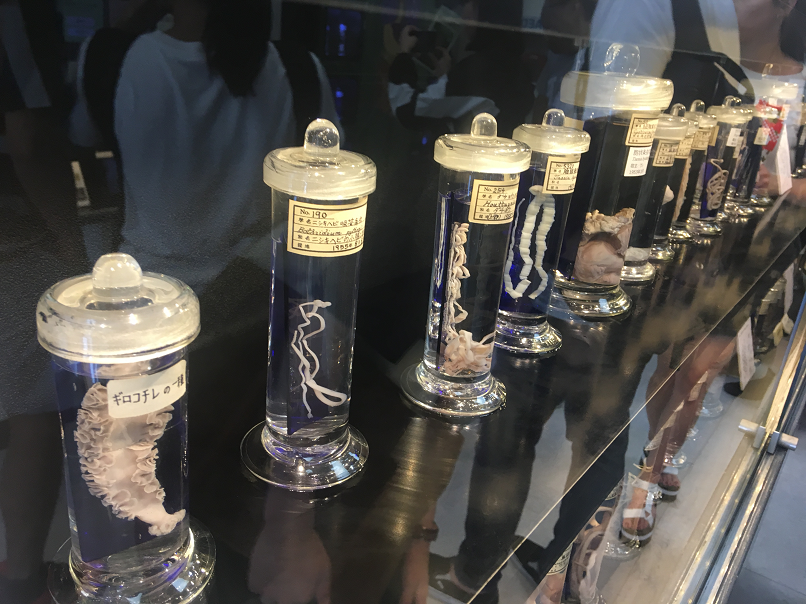 f:id:salesconsultant:20190816063830p:plain