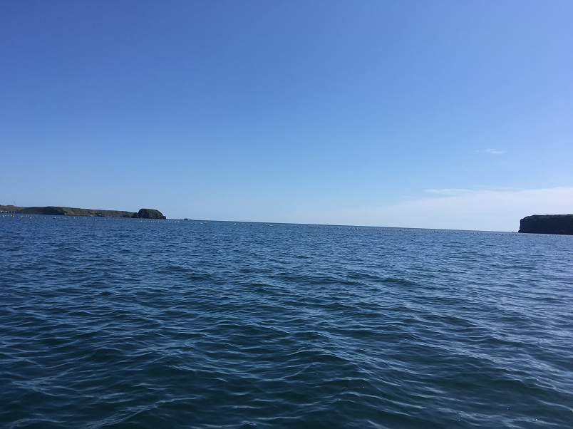 f:id:salesconsultant:20190926100720p:plain