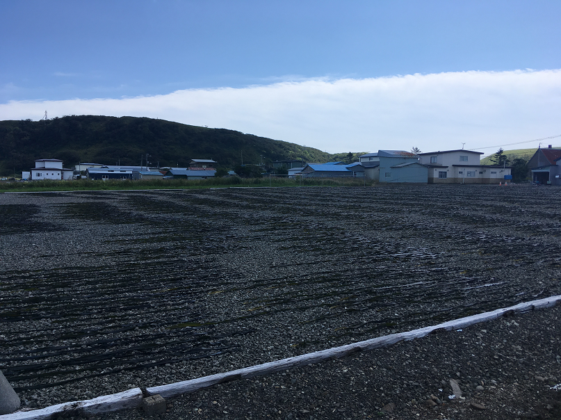 f:id:salesconsultant:20190926101339p:plain