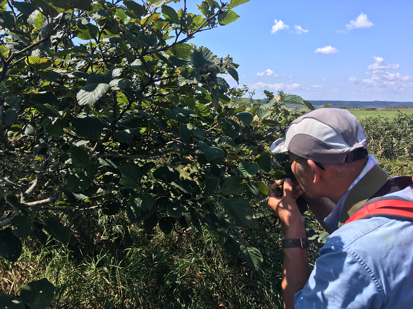 f:id:salesconsultant:20191104002133p:plain f:id:salesconsultant:20191104002133p:plain