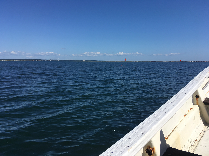 f:id:salesconsultant:20191104002914p:plain f:id:salesconsultant:20191104002914p:plain