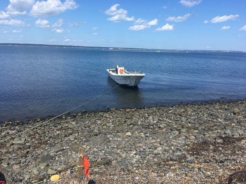 f:id:salesconsultant:20191104003217p:plain f:id:salesconsultant:20191104003217p:plain