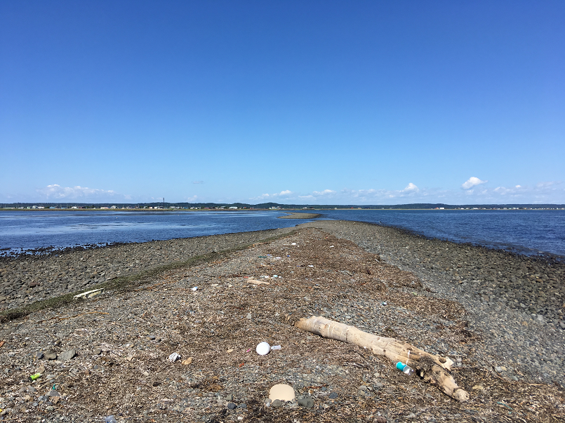 f:id:salesconsultant:20191104003628p:plain f:id:salesconsultant:20191104003628p:plain