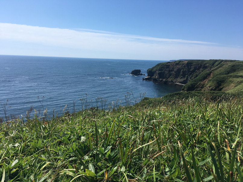 f:id:salesconsultant:20191104004103p:plain f:id:salesconsultant:20191104004103p:plain