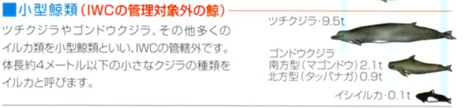 f:id:salesconsultant:20200513203238p:plain