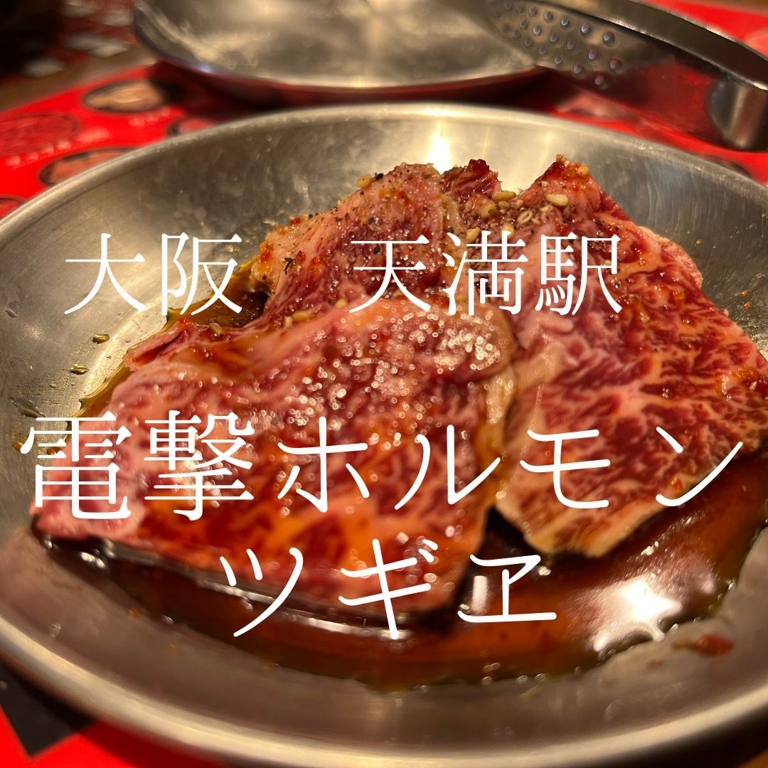 大阪府北区 電撃ホルモン ツギヱ コンセプトで勝利のお店ですね - 焼肉図鑑