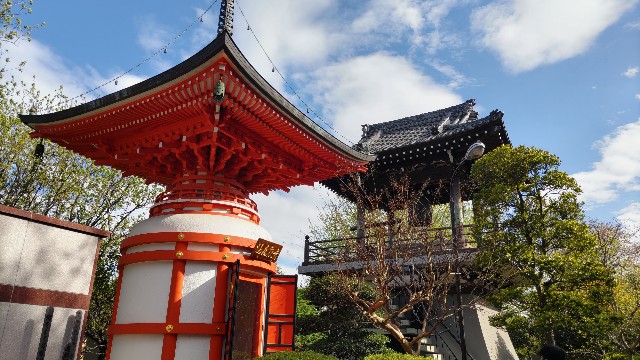 真作　板橋興宗　「夢」　曹洞宗　總持寺貫首　大乗寺七十世　宮城県　石川県 真作 板橋興宗 「夢」 曹洞宗 總持寺貫首 大乗寺七十世 宮城県