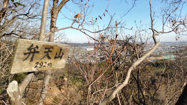 f:id:salicat:20231221025433j:image