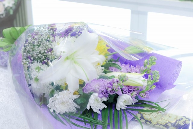 f:id:salicat:20260623230822j:image f:id:salicat:20260623230822j:image