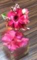 f:id:salii:20130923213559j:image:medium