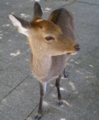 f:id:salii:20131007091534j:image:medium