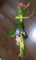 f:id:salii:20150117202255j:image:small:left