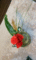 f:id:salii:20150124200015j:image:small:left