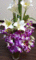 f:id:salii:20150131213555j:image:small:left