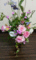 f:id:salii:20150522201343j:image:small:left