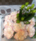 f:id:salii:20150523214111j:image:small:left