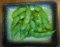 f:id:salii:20150723204924j:image:small:left
