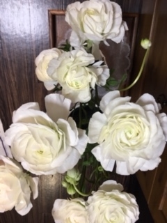 f:id:salii:20190320200855j:plain f:id:salii:20190320200855j:plain