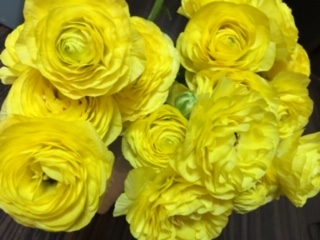f:id:salii:20190321195551j:plain f:id:salii:20190321195551j:plain