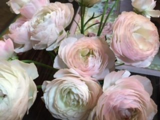 f:id:salii:20190321195621j:plain f:id:salii:20190321195621j:plain