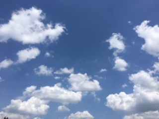 f:id:salii:20190504120129j:plain f:id:salii:20190504120129j:plain