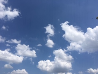 f:id:salii:20190504120136j:plain f:id:salii:20190504120136j:plain