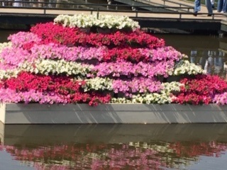 f:id:salii:20190505091142j:plain f:id:salii:20190505091142j:plain