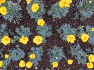 f:id:salii:20190505091731j:plain f:id:salii:20190505091731j:plain