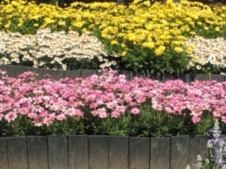 f:id:salii:20190505092644j:plain f:id:salii:20190505092644j:plain