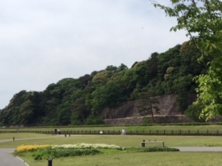 f:id:salii:20190526143237j:plain f:id:salii:20190526143237j:plain