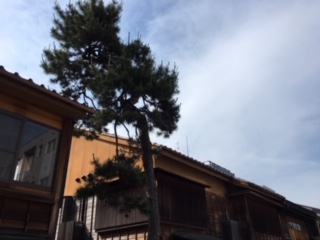 f:id:salii:20190526153605j:plain f:id:salii:20190526153605j:plain